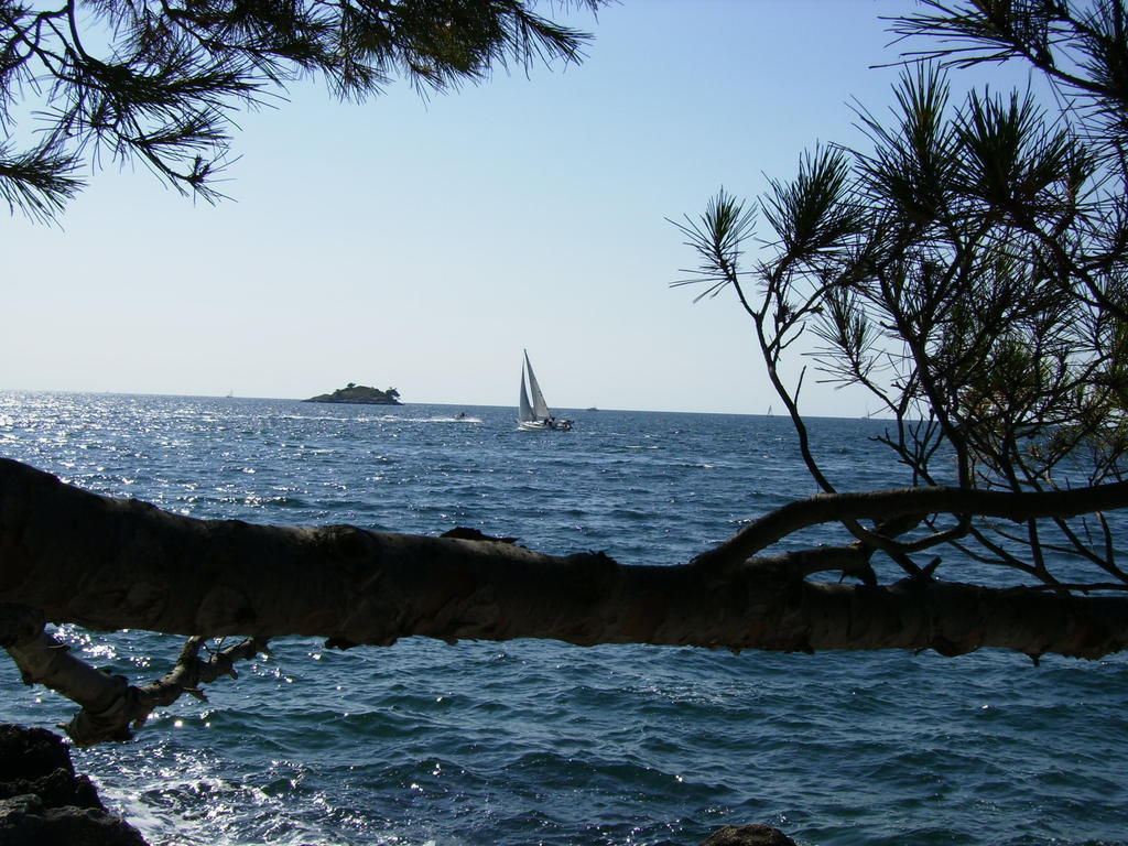 Apartments Carmelo Rovinj Buitenkant foto