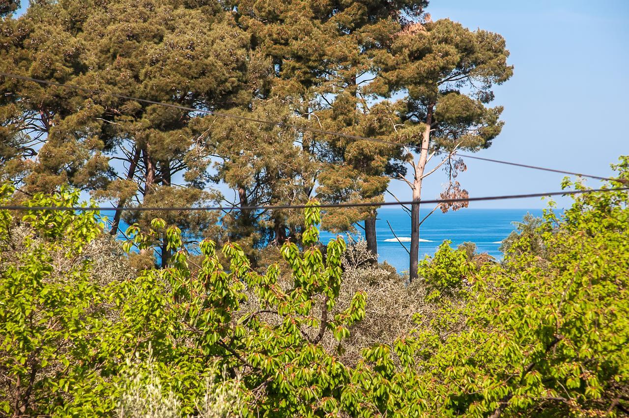 Apartments Carmelo Rovinj Buitenkant foto